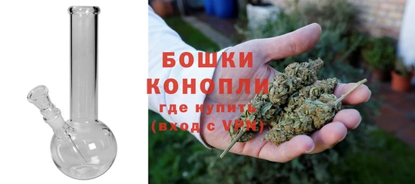 МДПВ Каменногорск