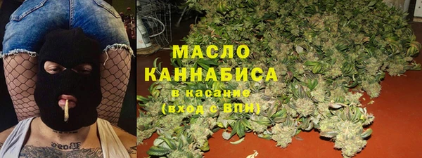 МДПВ Каменногорск